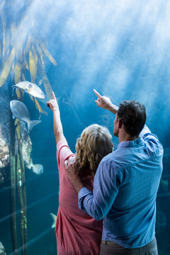 在水族馆看鱼的夫妇