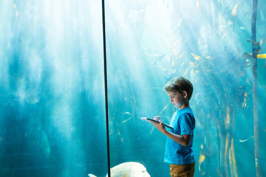 在水族馆里做记录的男孩