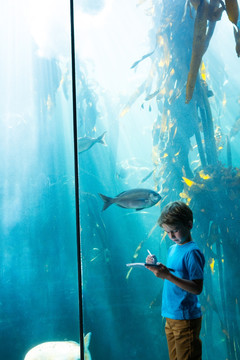 在水族馆里做记录的男孩