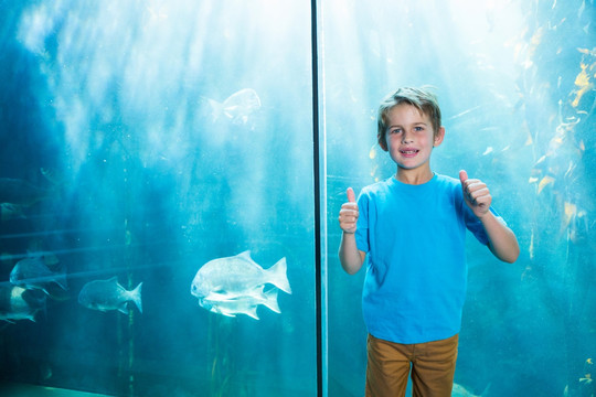 在水族馆里竖起大拇指的男孩