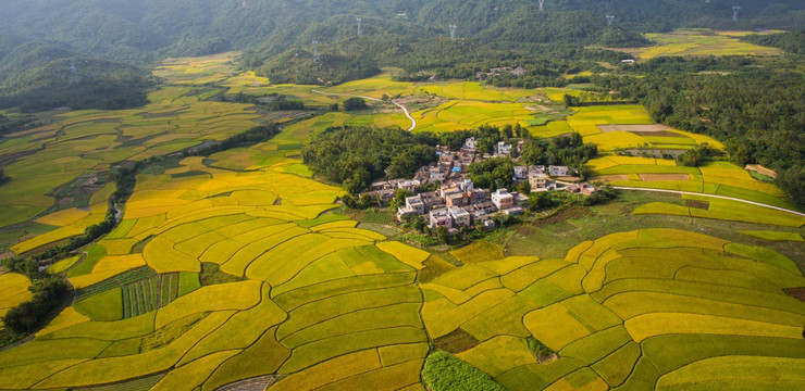 大地 田园风光 秋色