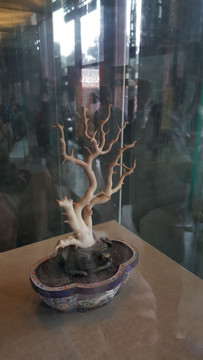 故宫藏白珊瑚树