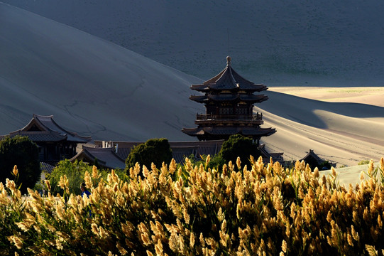 鸣沙山 月泉阁的芦花