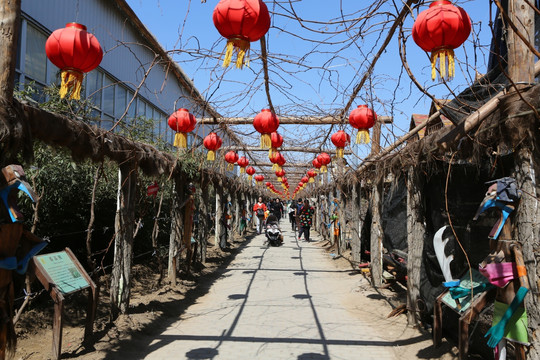 北京呀路古热带植物园