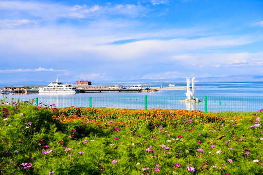 青海湖