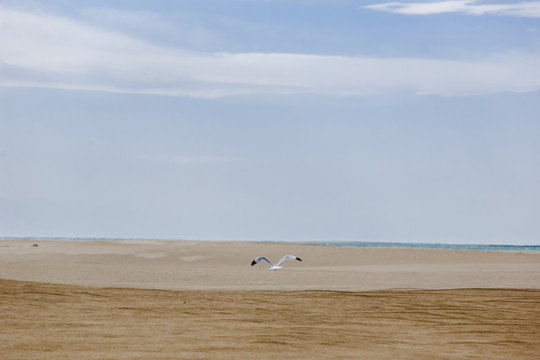 青海湖金沙湾沙漠风光