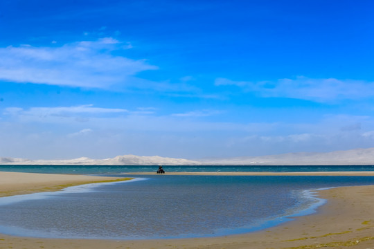 青海湖金沙湾风景