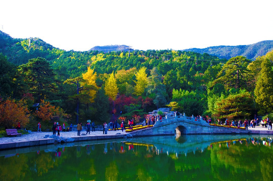 北京香山公园秋色
