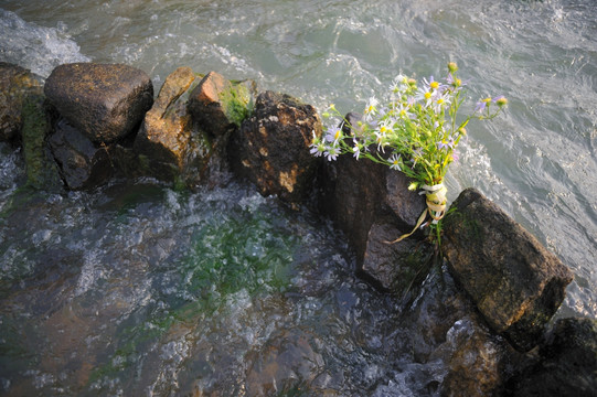 落花 流水