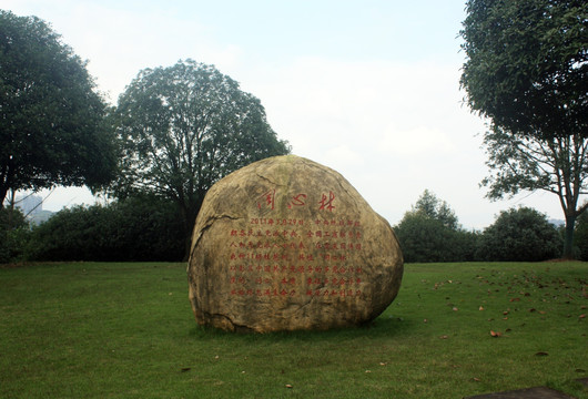 公园景观石