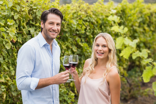 微笑的夫妇在葡萄园里喝红酒