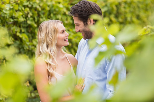 微笑的夫妇在葡萄园里