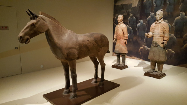 国家博物馆藏秦始皇陵陶马陶俑