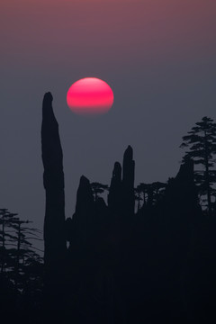 鸿运当头