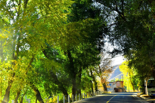 乡村道路