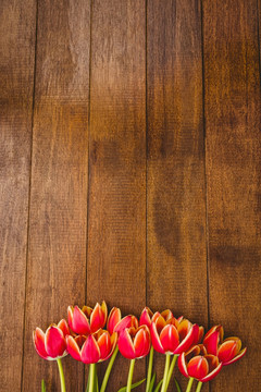 木板上的花朵