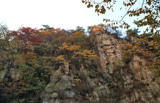 九仙山层林尽染红叶烂漫