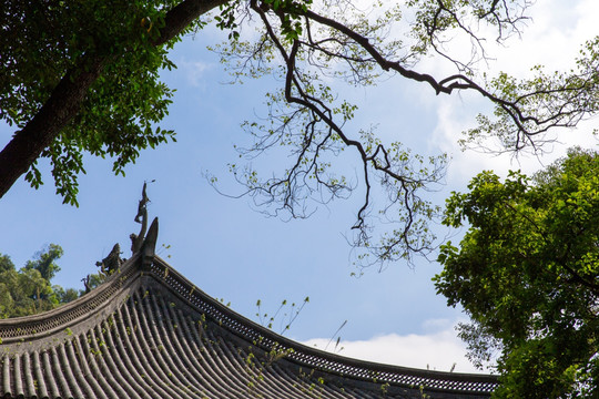 传统中国建筑园林能仁古寺风景