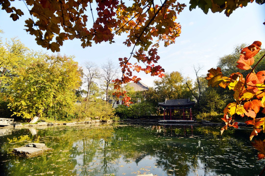 北京大学秋色