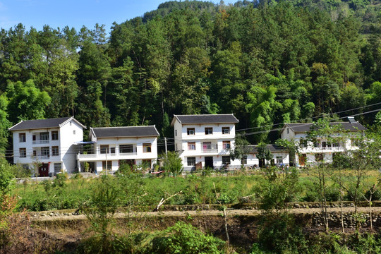 湖北恩施市麂子渡村落风光风景