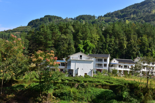 湖北恩施市麂子渡村落风光风景