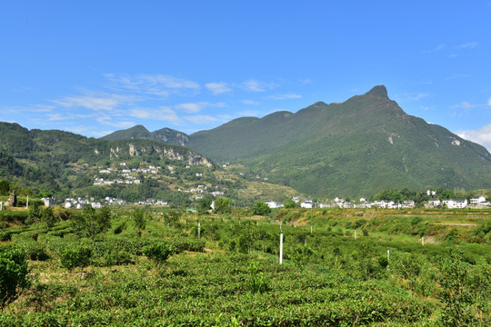 湖北恩施市麂子渡村落风光风景