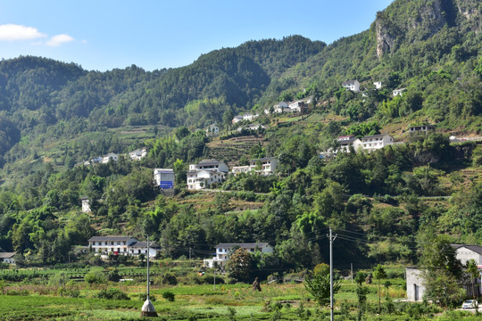 新农村田野田园风景