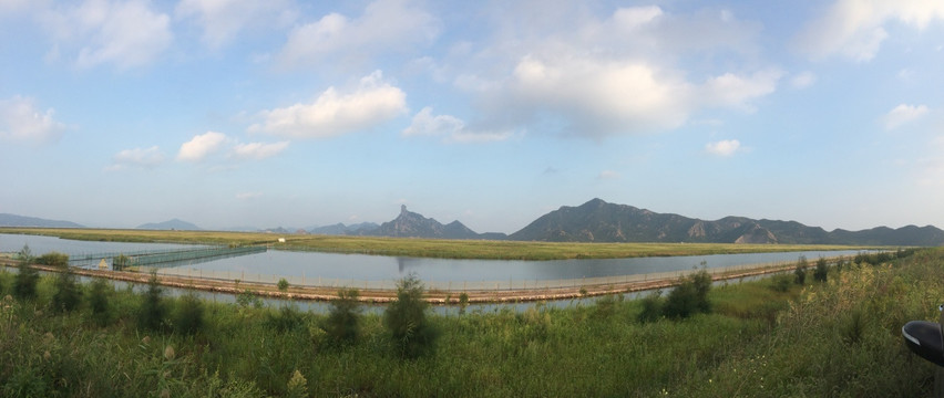 蓝天池塘