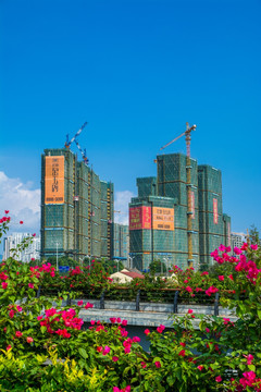 温州 地产