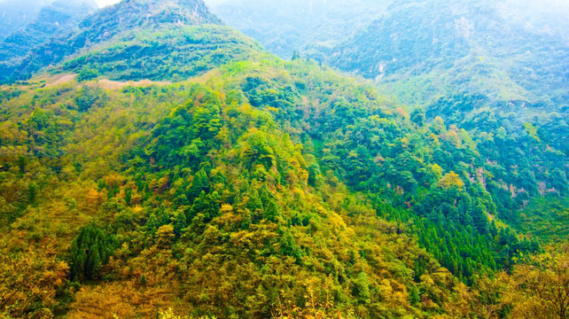 山岭 山林霜叶