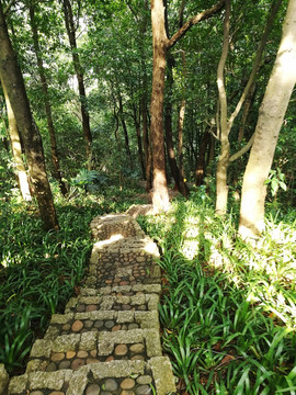 笔架山登山道