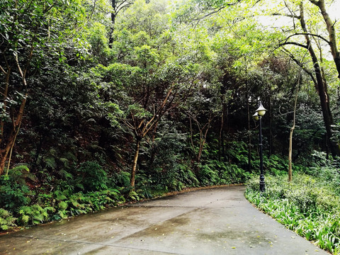 笔架山风景