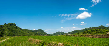 岑巩美丽乡村平牙村的夏天