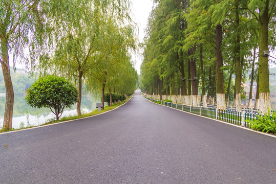 树林