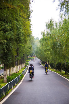 树林 骑自行车
