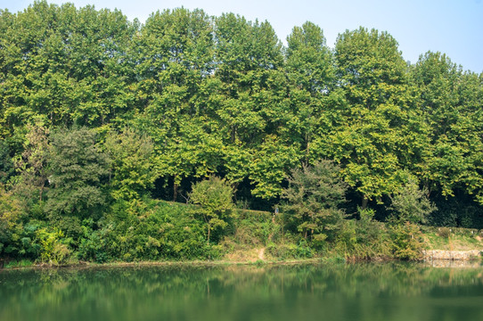 青山绿水森林湖泊