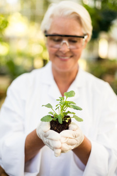 女科学家研究培养植物