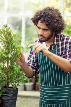 在温室里修剪植物的男园丁