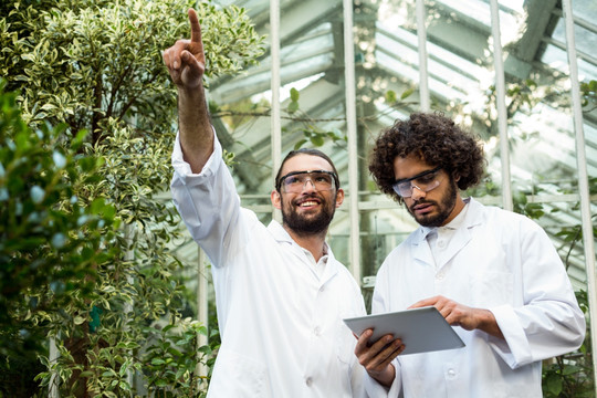 在花园里的植物学家