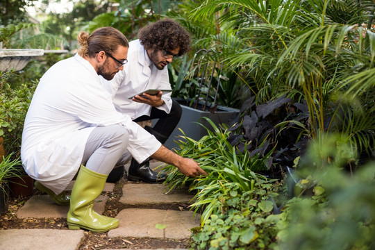 男植物学家在温室里检查植物