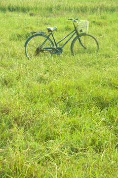 草场自行车