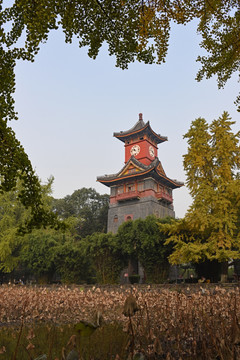 四川大学华西坝钟楼秋色