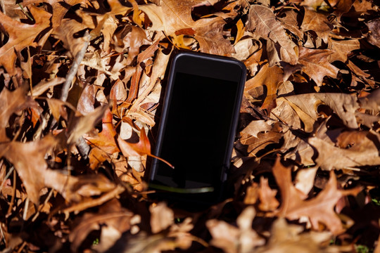 秋天树叶中的手机