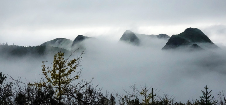 大山云烟