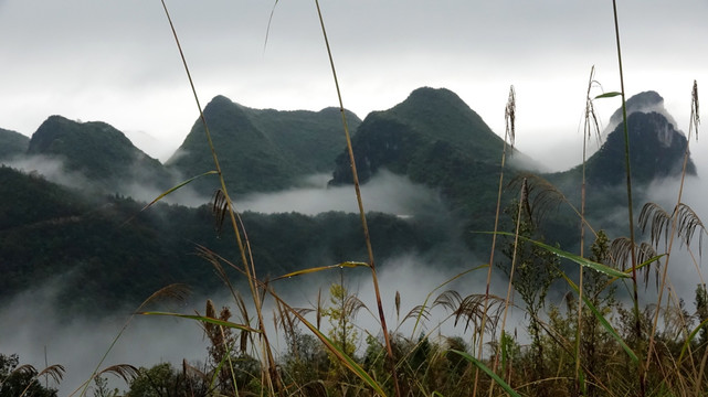 大 山云烟