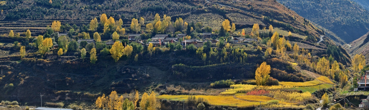 四川松潘乡村秋色全景图