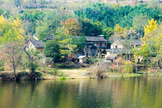 田园田野