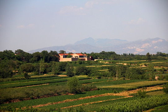 晴朗 田野 乡村