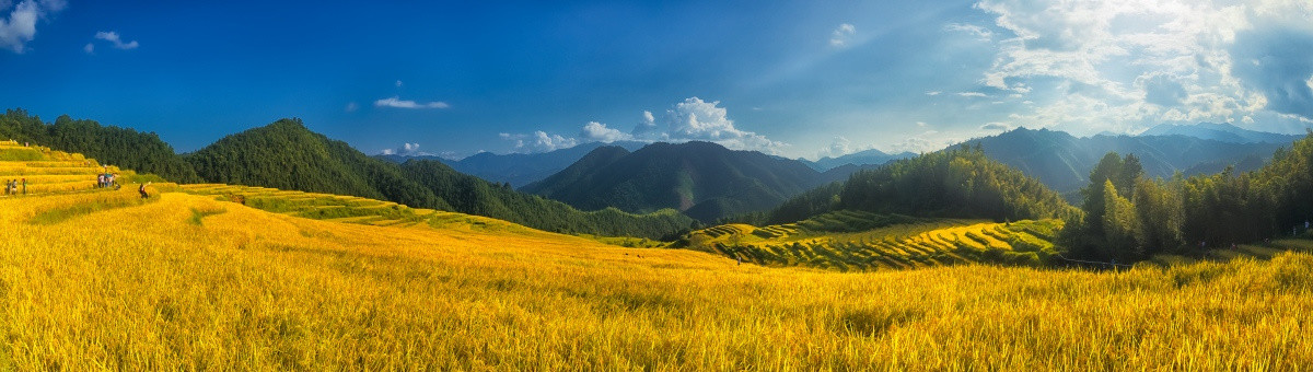 欧家梯田 全景大画幅