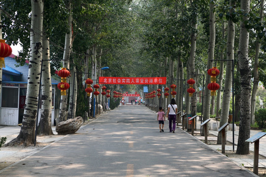 北京留民营生态农场